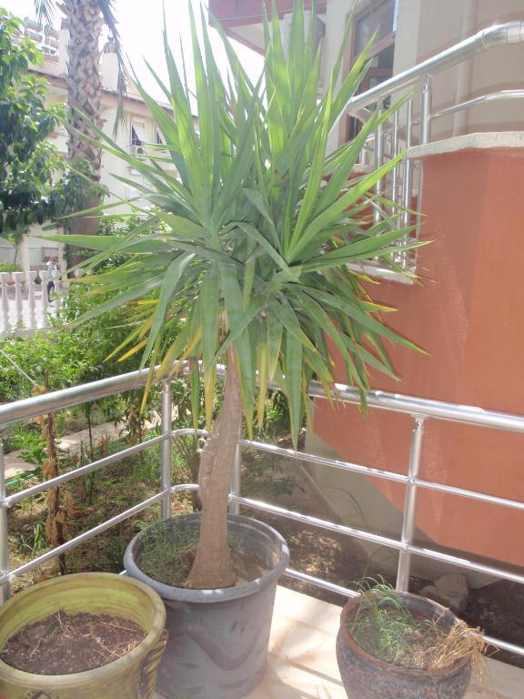 Aloe Apart Hotel Marmaris Exterior foto